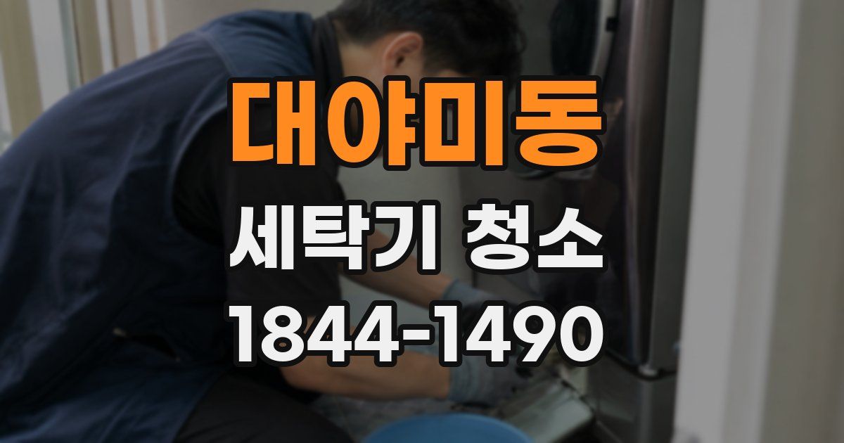 대야미동 세탁기 청소