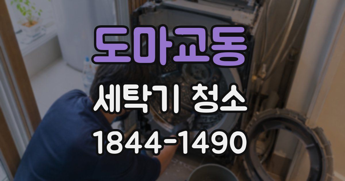 도마교동 세탁기 청소