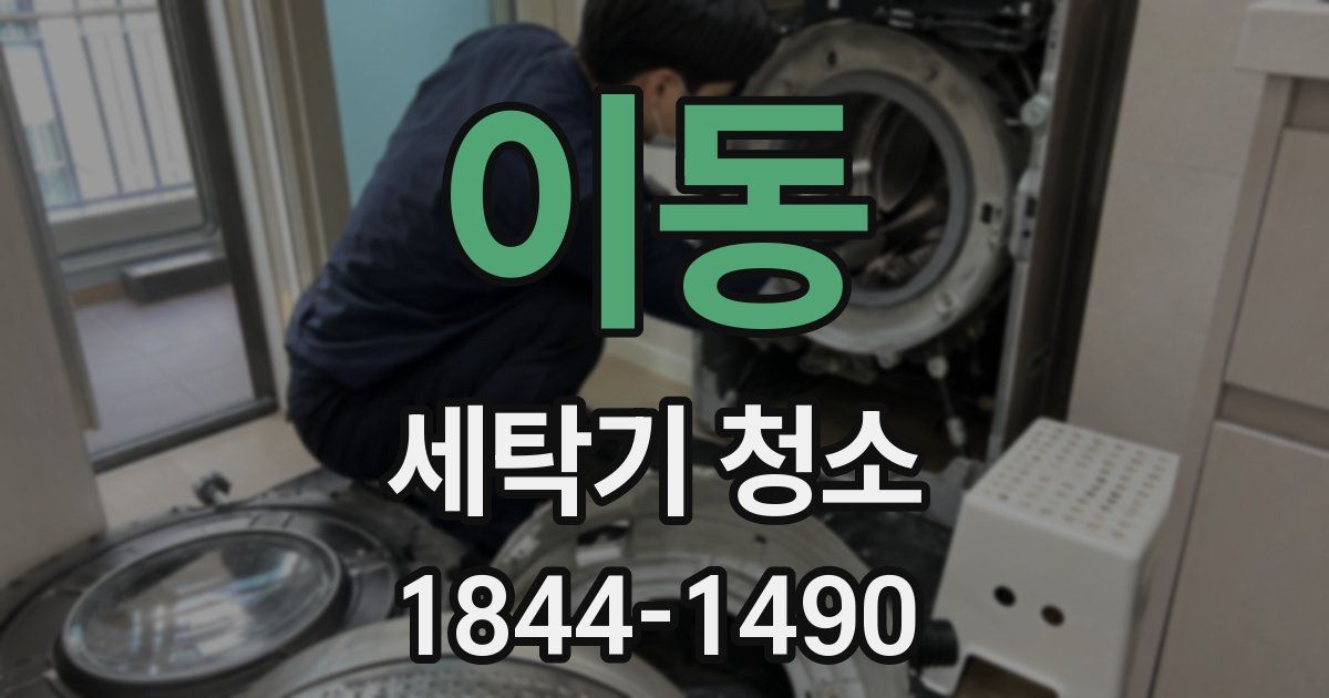 이동 세탁기 청소