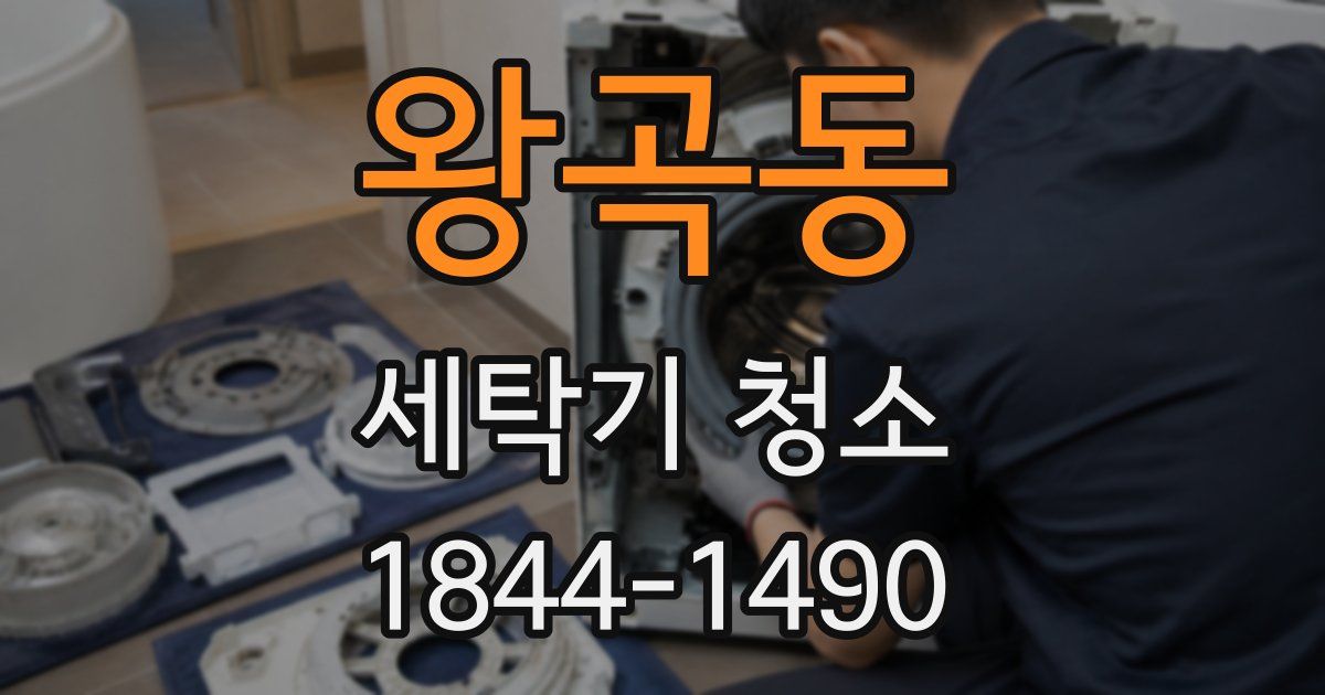 왕곡동 세탁기 청소