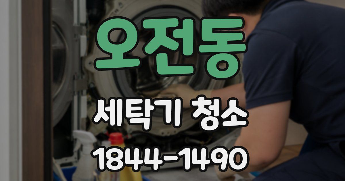 오전동 세탁기 청소