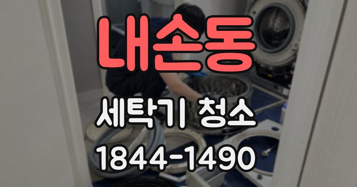 내손동 세탁기 청소