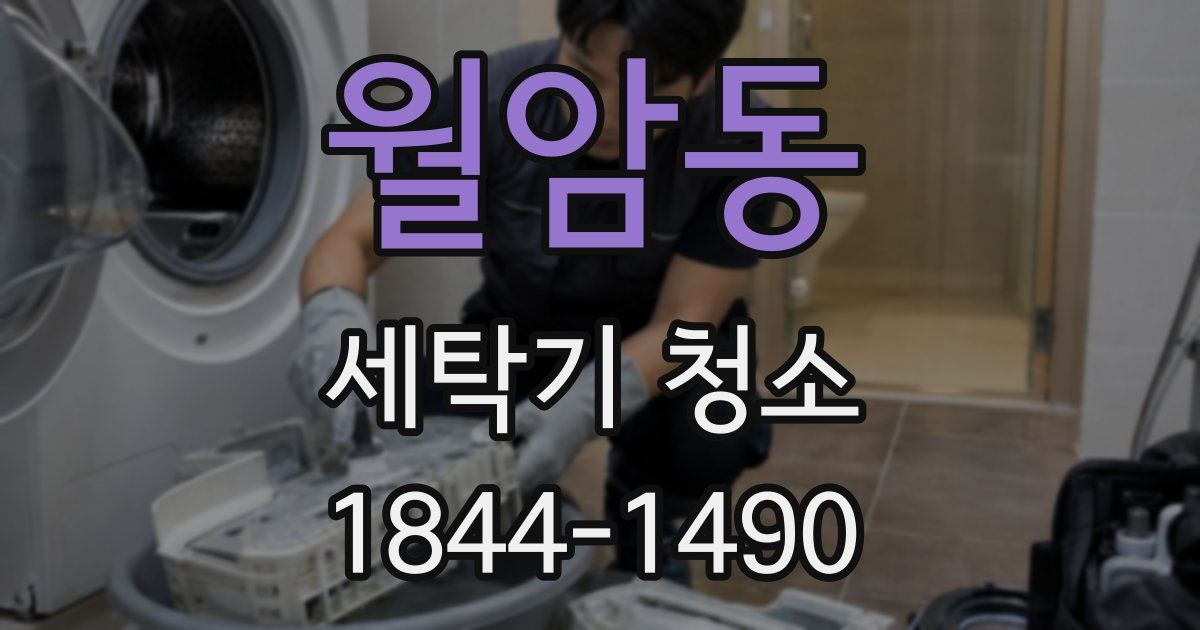 월암동 세탁기 청소
