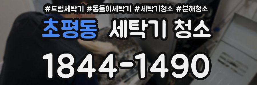 초평동 세탁기 청소