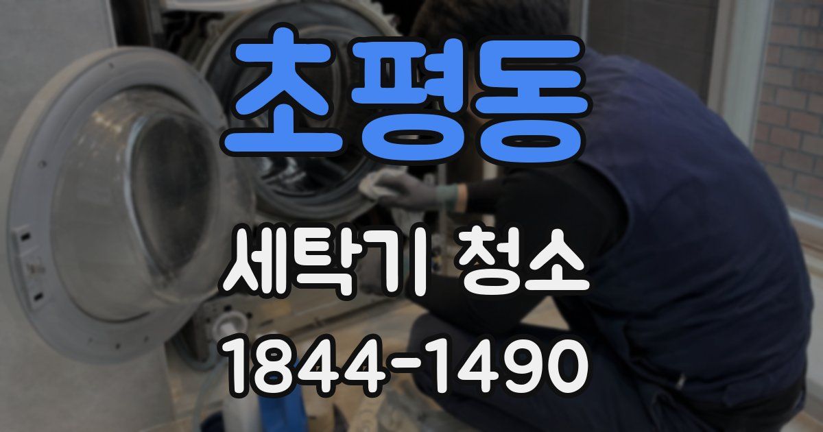 초평동 세탁기 청소