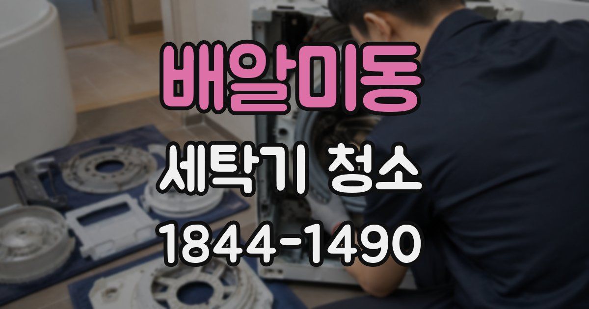 배알미동 세탁기 청소
