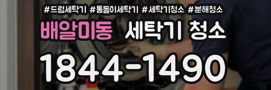 배알미동 세탁기 청소
