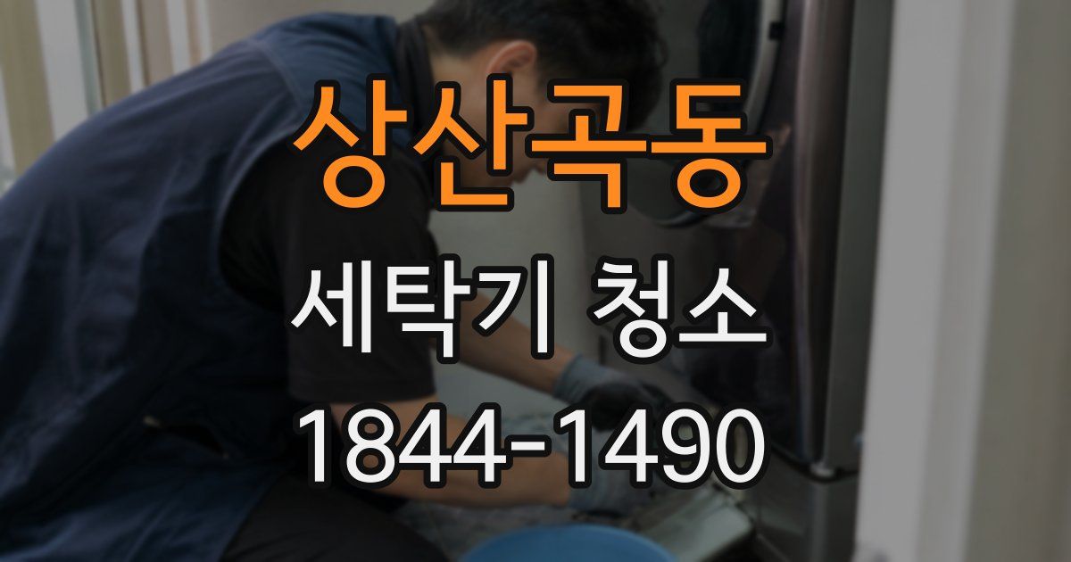 상산곡동 세탁기 청소