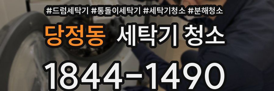 당정동 세탁기 청소