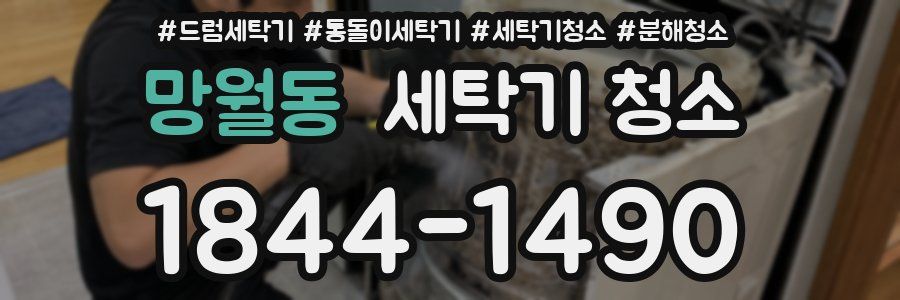 망월동 세탁기 청소