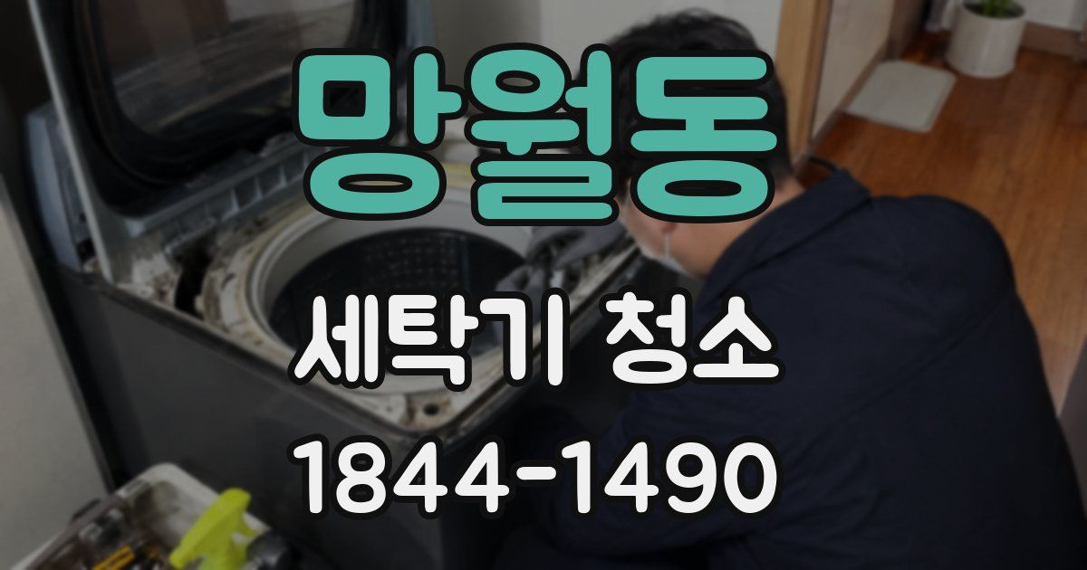 망월동 세탁기 청소