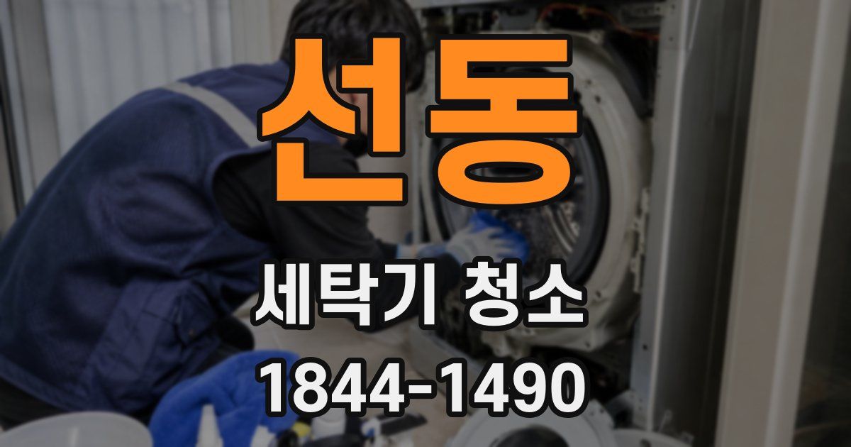 선동 세탁기 청소