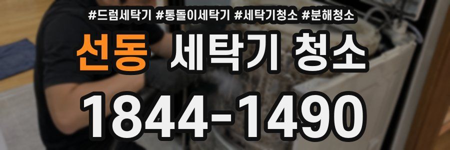 선동 세탁기 청소