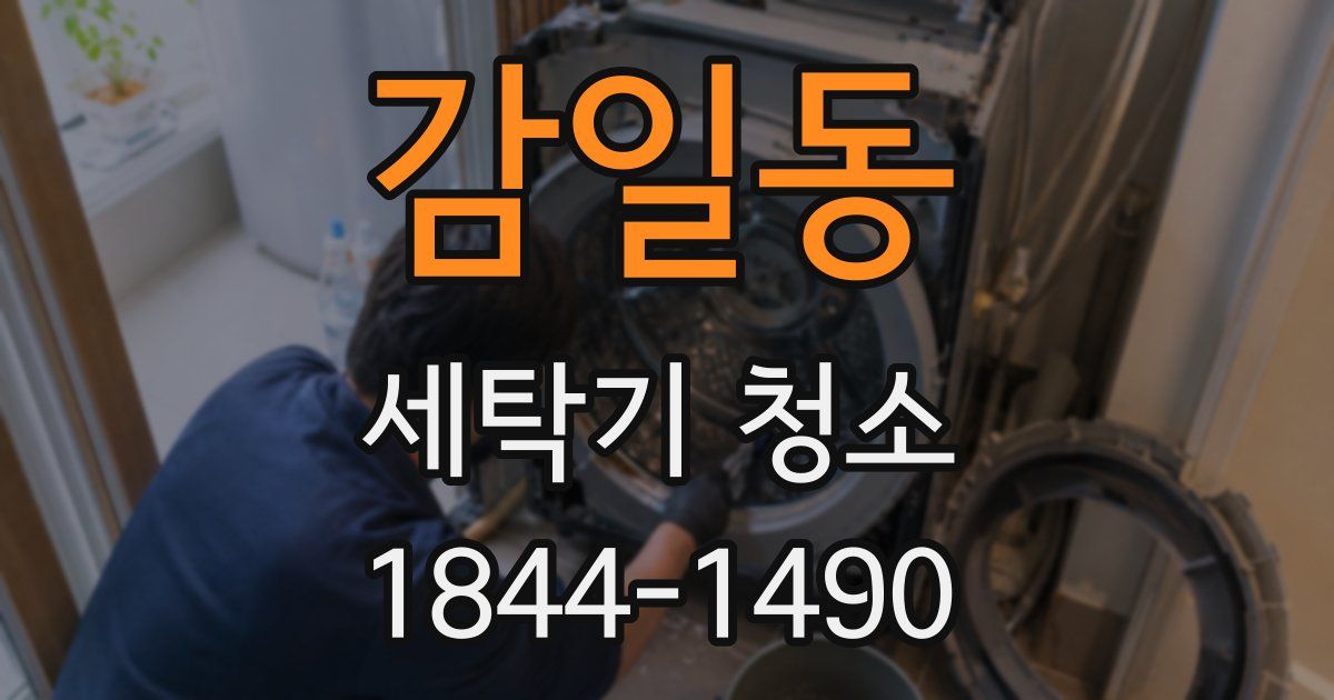 감일동 세탁기 청소