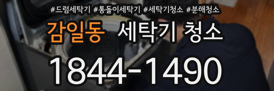 감일동 세탁기 청소