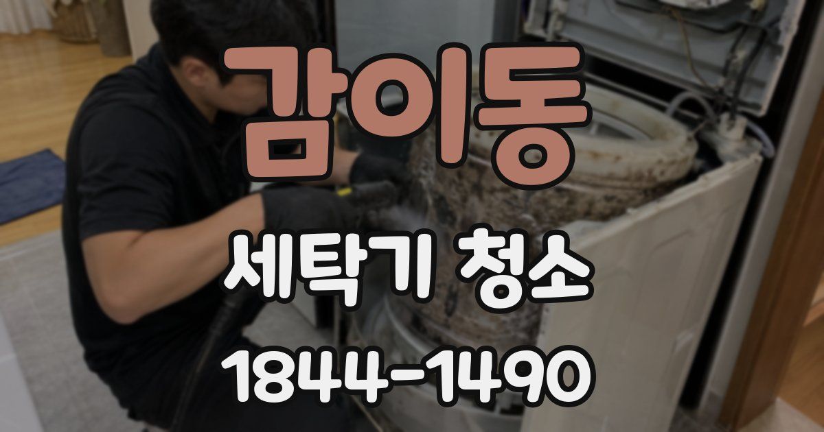 감이동 세탁기 청소