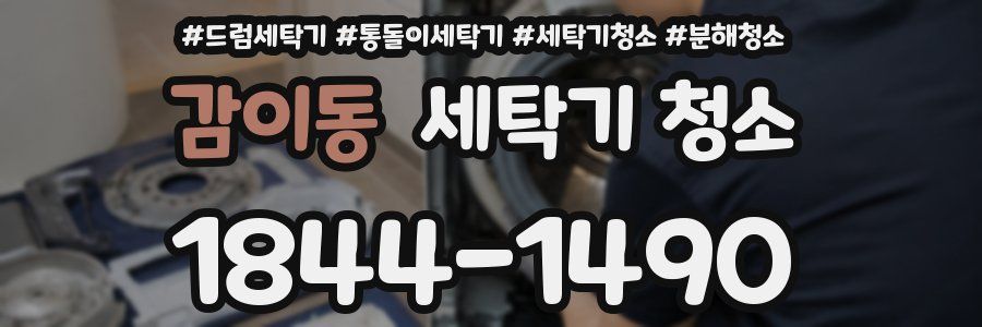 감이동 세탁기 청소