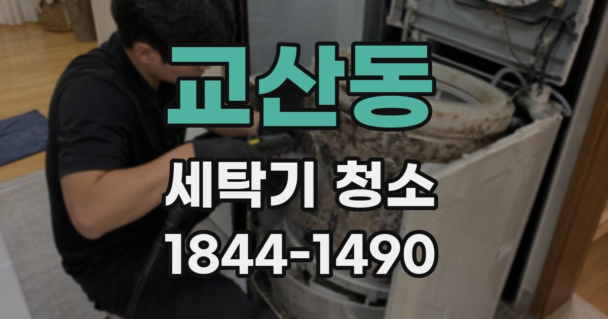 교산동 세탁기 청소