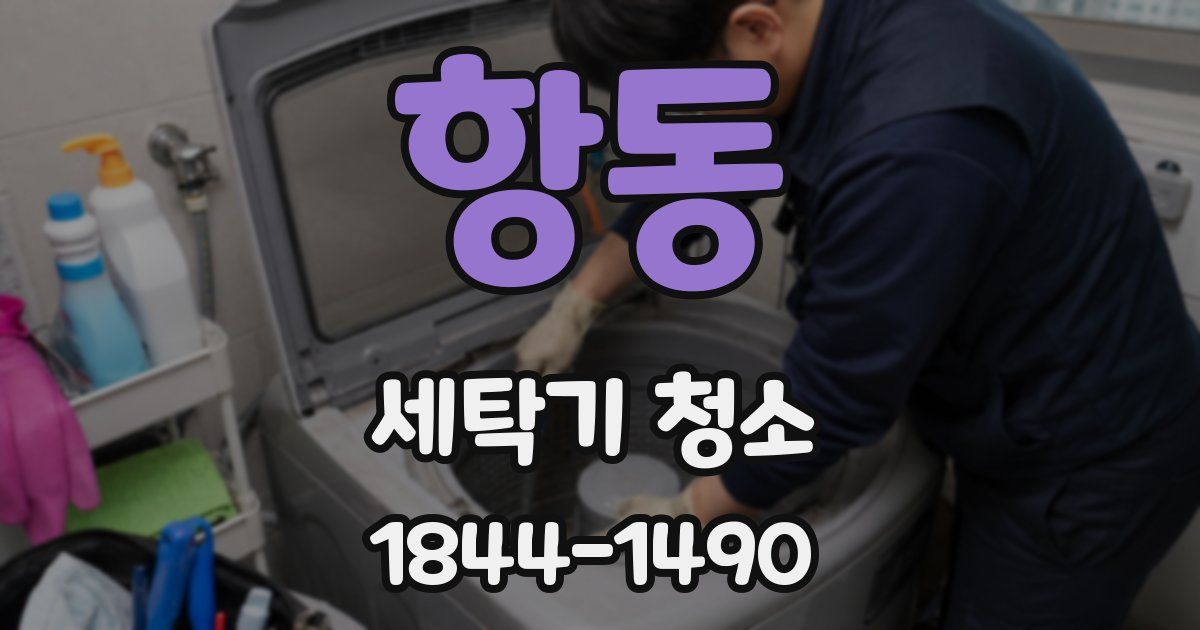 항동 세탁기 청소