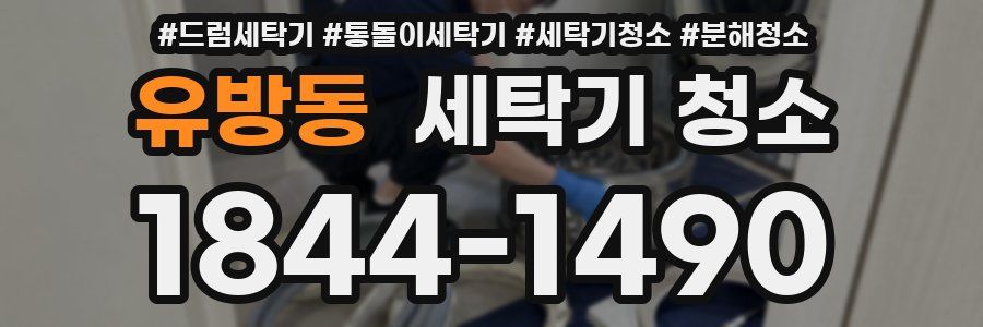 유방동 세탁기 청소