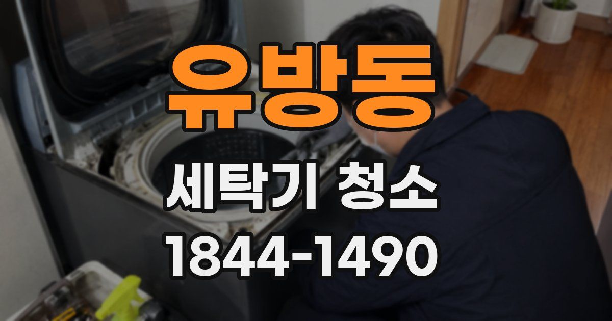 유방동 세탁기 청소