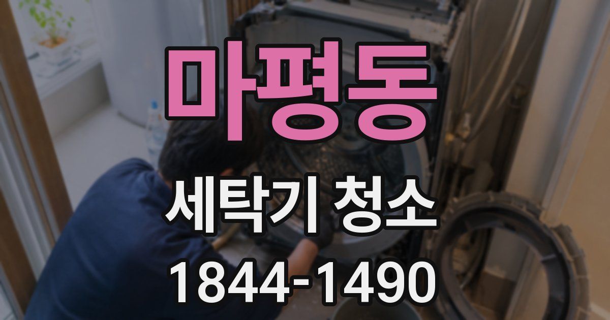 마평동 세탁기 청소