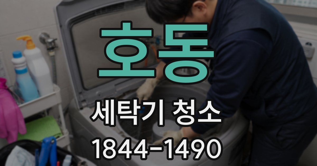 호동 세탁기 청소