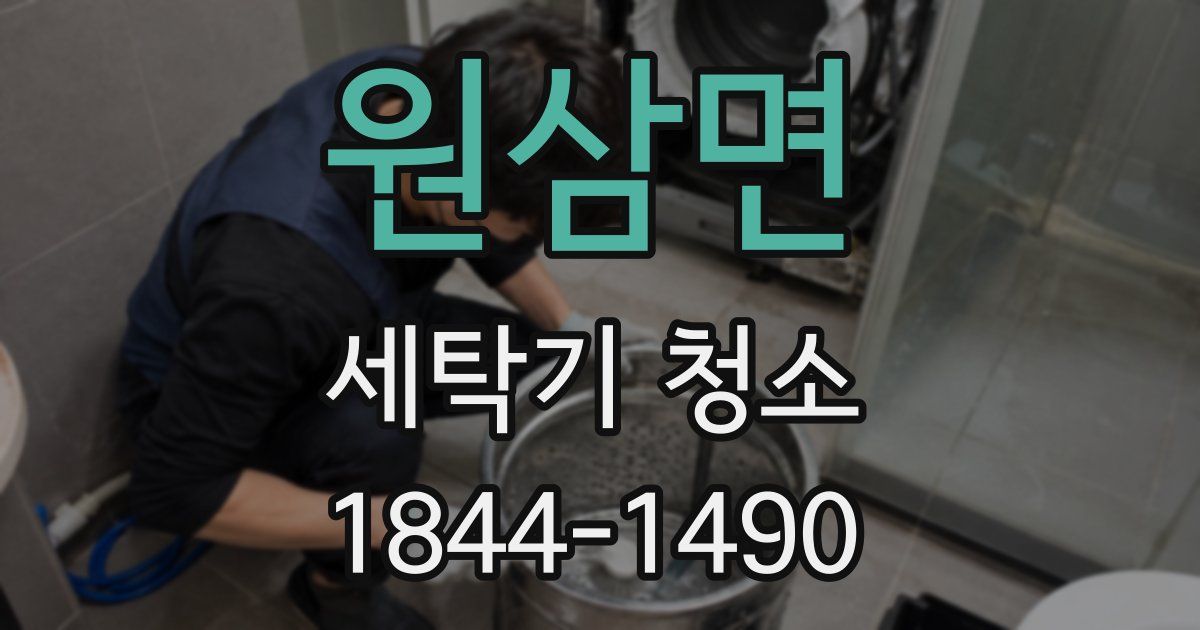 원삼면 세탁기 청소