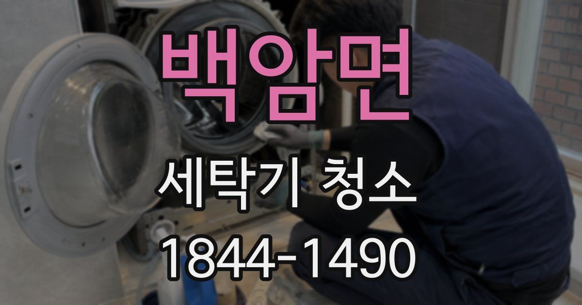 백암면 세탁기 청소