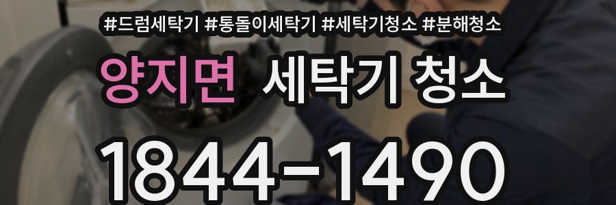 양지면 세탁기 청소