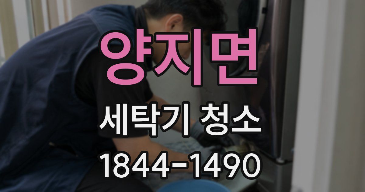 양지면 세탁기 청소