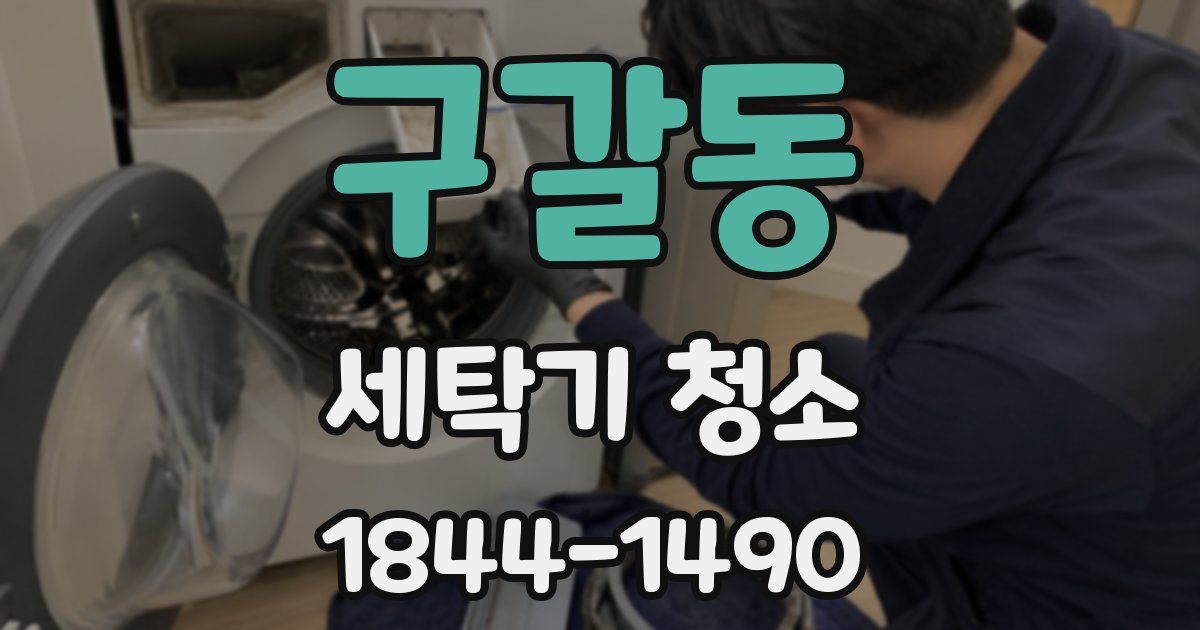 구갈동 세탁기 청소