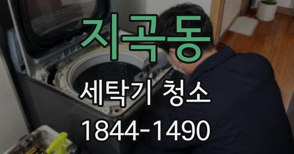 지곡동 세탁기 청소