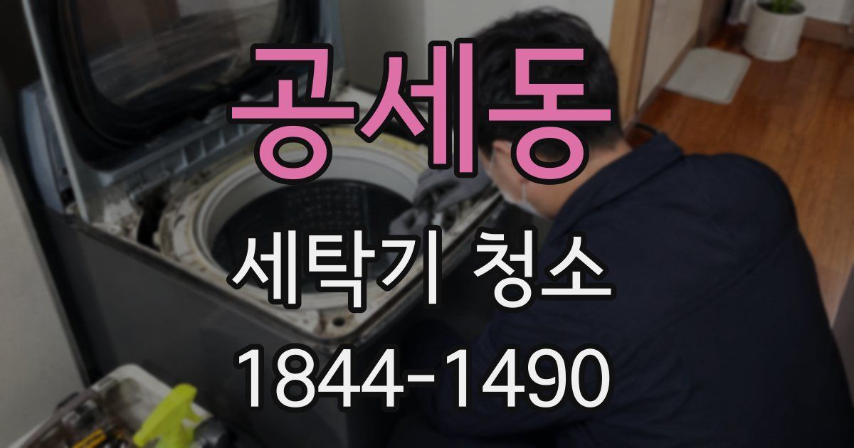 공세동 세탁기 청소