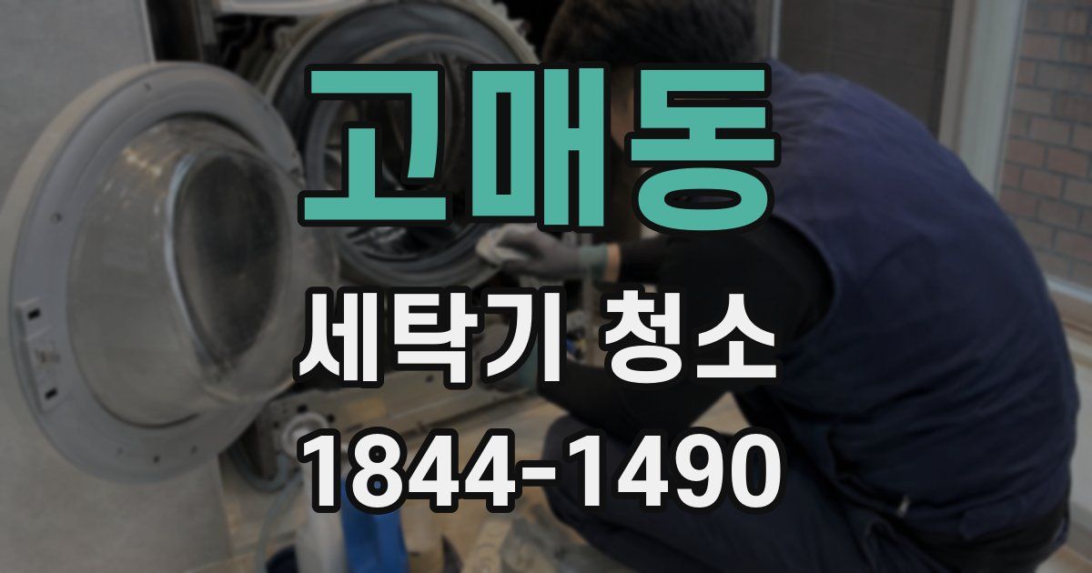 고매동 세탁기 청소