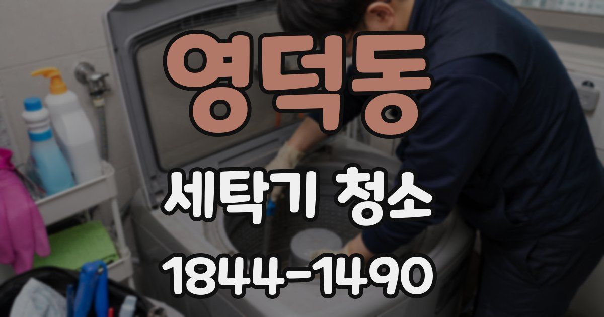 영덕동 세탁기 청소