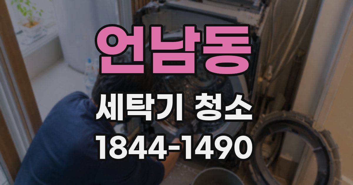 언남동 세탁기 청소