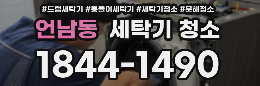 언남동 세탁기 청소