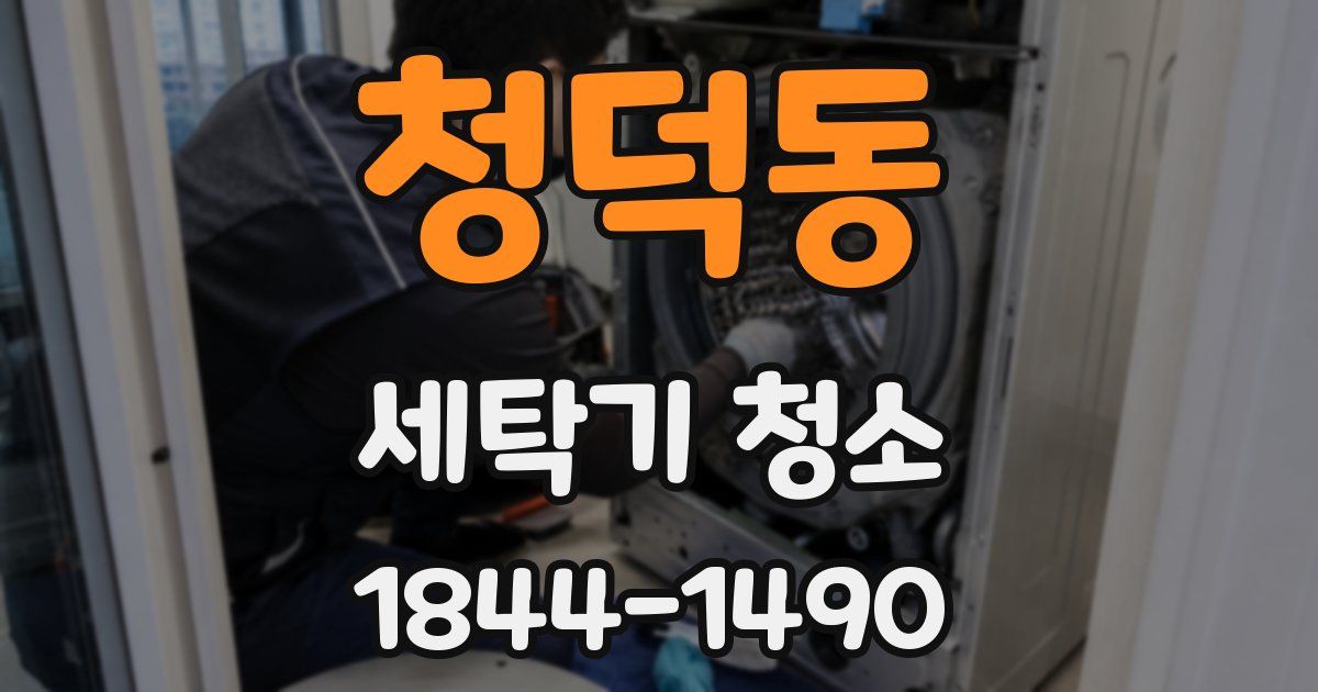 청덕동 세탁기 청소