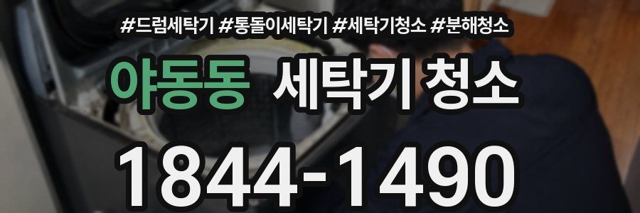 야동동 세탁기 청소