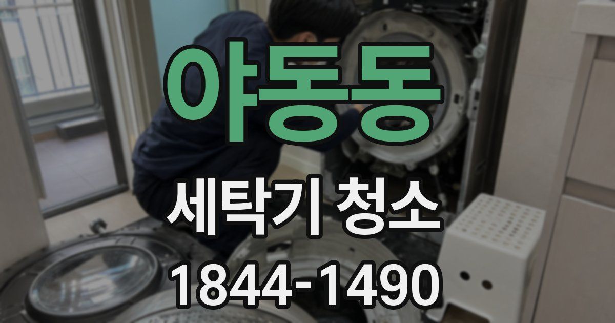 야동동 세탁기 청소