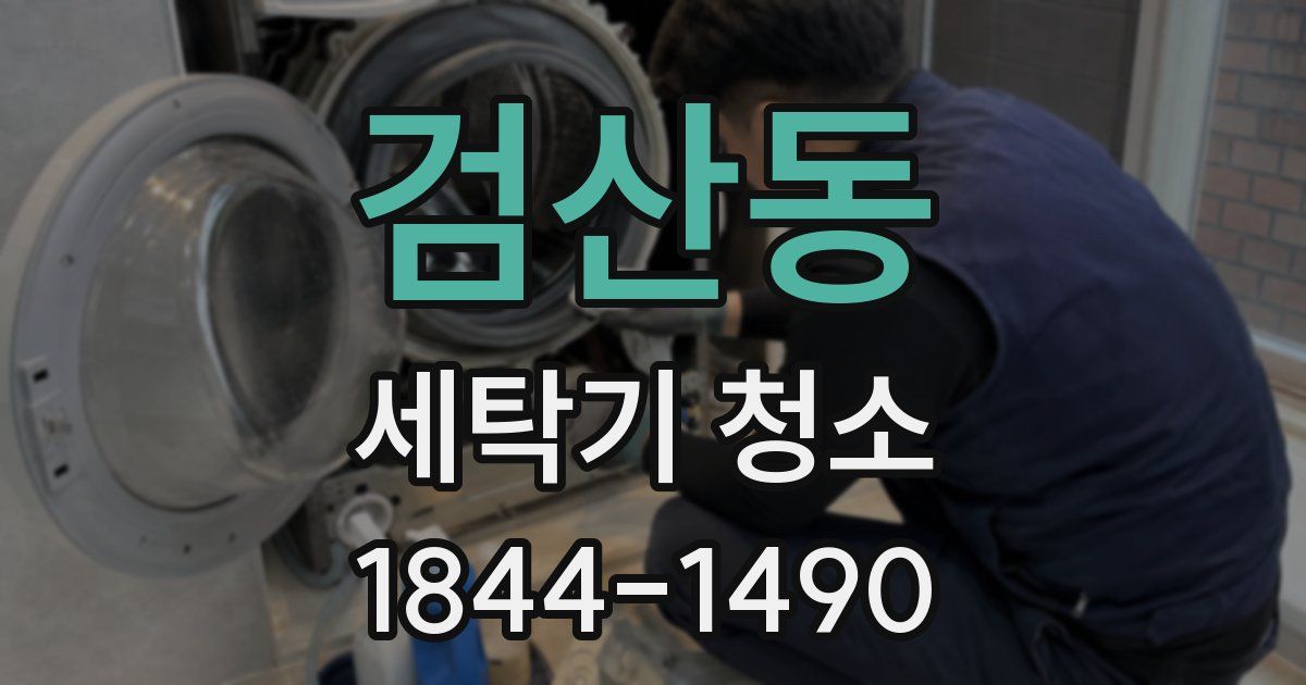 검산동 세탁기 청소