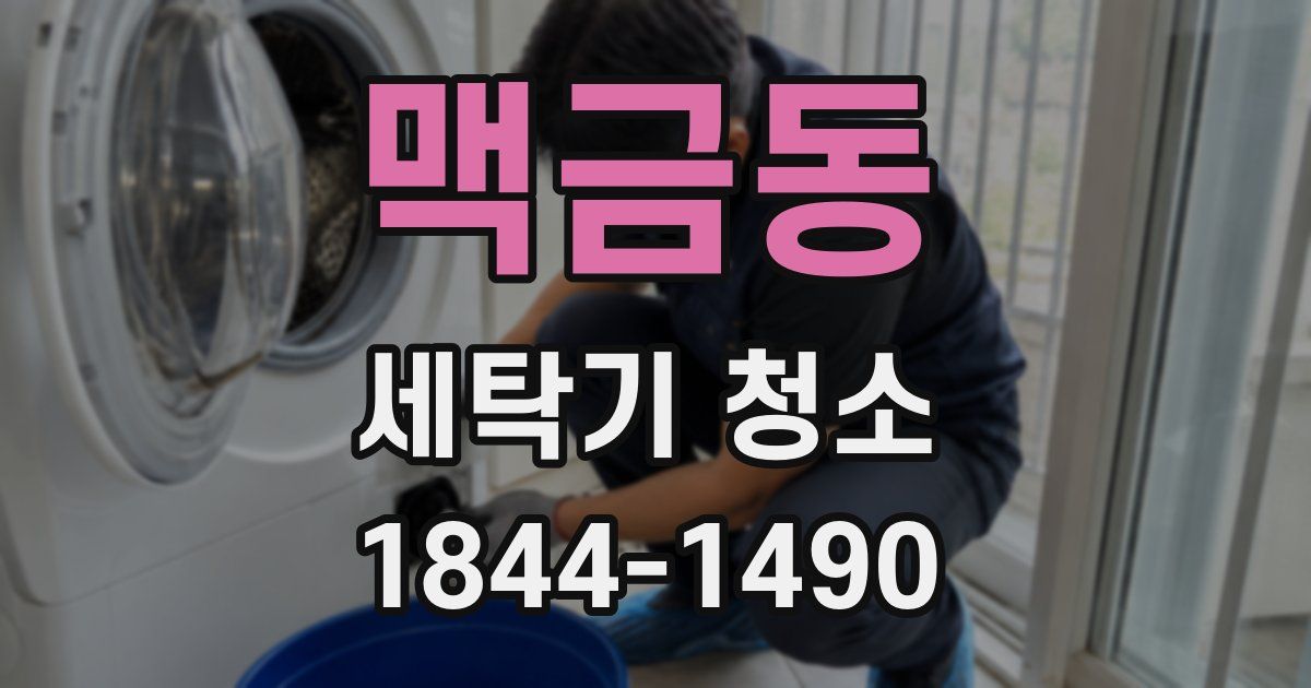 맥금동 세탁기 청소
