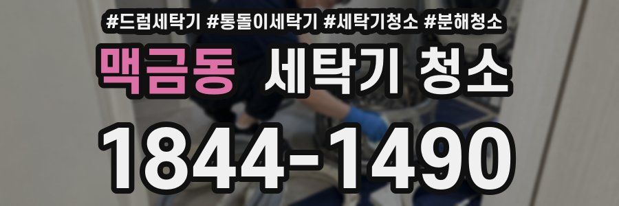 맥금동 세탁기 청소