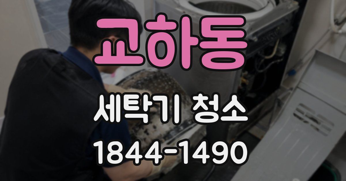 교하동 세탁기 청소