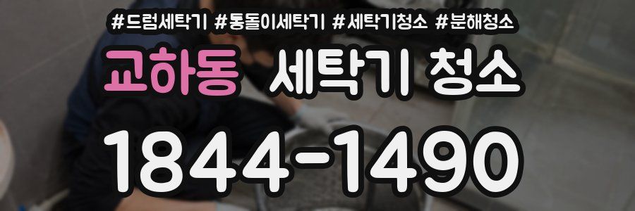 교하동 세탁기 청소