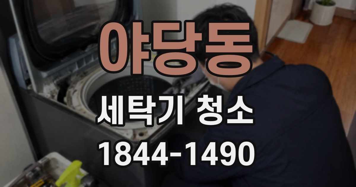 야당동 세탁기 청소