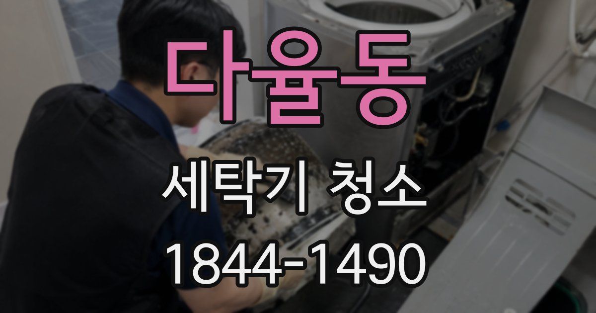 다율동 세탁기 청소