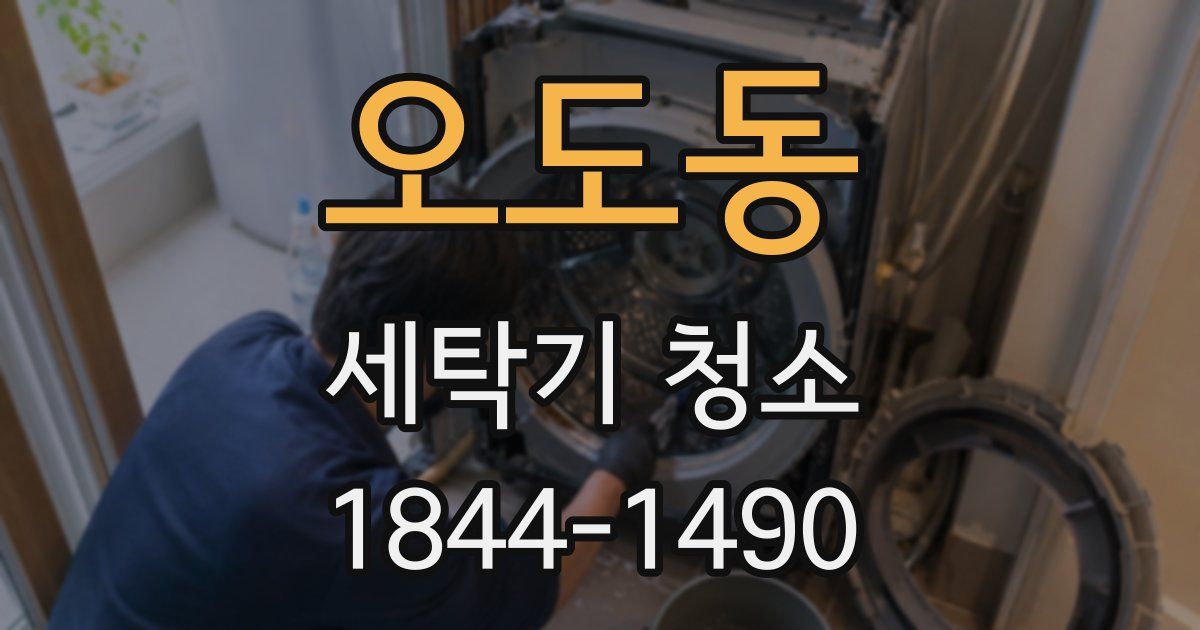 오도동 세탁기 청소
