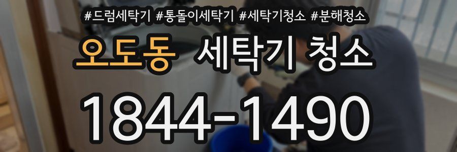 오도동 세탁기 청소